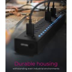 ICY BOX 17-PORT USB 3.2 HUB BLACK