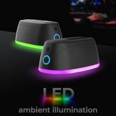 ICY BOX LED DOCKING STATION FOR HDD/SSD WITH TYPE-C/USB 3.2 COMBO CABLE
