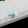 WHITE SHARK MECHANICAL KEYBOARD RED SWITCH GK-004211 WHITE