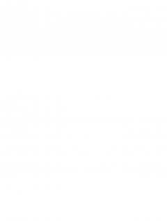 BLACKVIEW BV4800 PRO OCTA-CORE (4GB+128GB) NFC RUGGED SMARTPHONE ORANGE