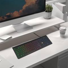 LAMTECH RAINBOW WIRED USB KEYBOARD WITH ROUND KEYS