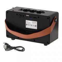 CAMRY BLUETOOTH SPEAKER WITH FM RADIO BLACK