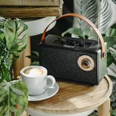 CAMRY BLUETOOTH SPEAKER WITH FM RADIO BLACK