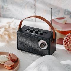 CAMRY BLUETOOTH SPEAKER WITH FM RADIO BLACK