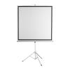 SBOX PROJECTOR SCREEN WITH TRIPOD 135' / 240x240CM