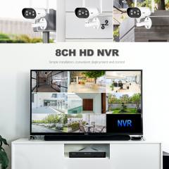 SRIHOME 2MP 8-CHANNEL WIRELESS VIDEO RECORDER WITH 4 IP CAMERAS