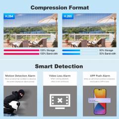 SRIHOME 2MP 8-CHANNEL WIRELESS VIDEO RECORDER WITH 4 IP CAMERAS